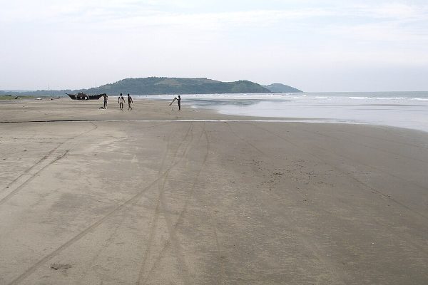 Morjim Beach Goa, Goa